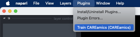 Starting the plugin