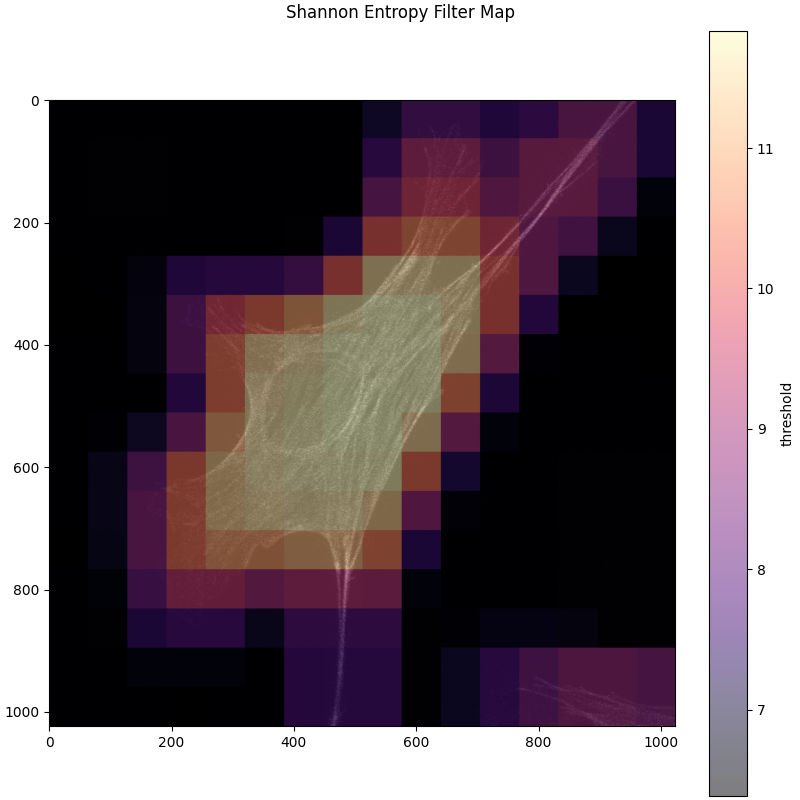 Shannon filter map