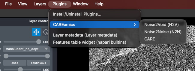 Starting the plugin